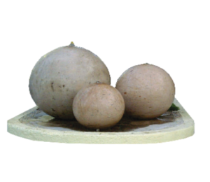 Screenshot 2023-05-12 at 15-46-24 T02. FUENTES.pdf